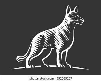 Shepherd dog - vector illustration on dark background