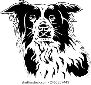 Shepherd dog. Vector outline illustration without background