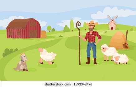 Shepherd farmer keeps an eye on sheep and a goat in the pasture