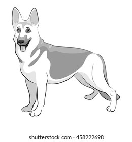 Shepherd German Dog Black & White Vector Illustration. Shepherd 