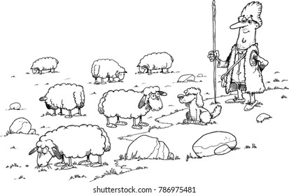 shepherd and herds of sheep