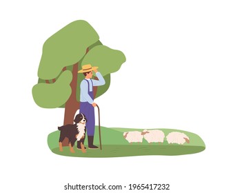 El pastor y su perro pastando ovejas se amontonan en la hierba. Pastor observando a las ovejas domésticas. Animales de granja en pastos. Ilustración vectorial plana de los pastos aislados en fondo blanco