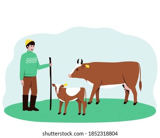A shepherd leads a cow and a calf to the pasture. Big horned cattle. In the summertime, pets are walked in a field with lush grass. Flat vector illustration.