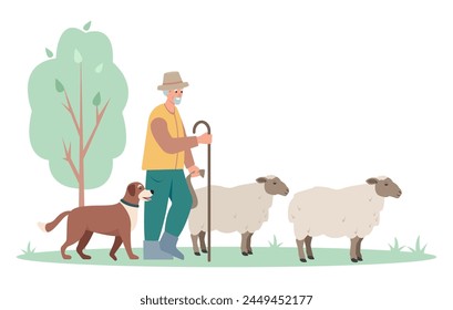 Shepherd man with dog herding sheep. Male character farmer taking care of sheep isolated on white background. Farming concept Vector illustration.