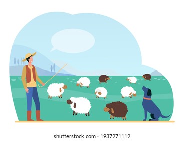 Shepherd man with stick and dog grazing sheep on summer field. Lambs animals on pasture flat vector illustration. Livestock farming concept for banner, website design or landing web page