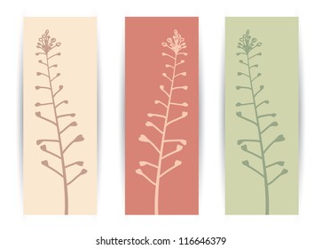 Shepherd purse plant - vector illustration