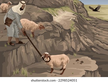 Shepherd rescuing sheep with staff from mountain side.  Biblical illustration depicting Psalm 23:4 