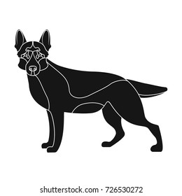 Shepherd single icon in black style. Dog, vector symbol stock illustration web.