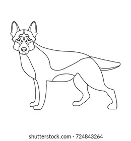 Shepherd single icon in outline style. Dog, vector symbol stock illustration web.