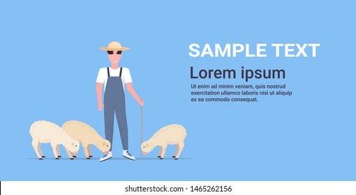 shepherd with stick herding flock of white sheep smiling male farmer breeding sheep eco farming concept flat full length horizontal copy space vector illustration