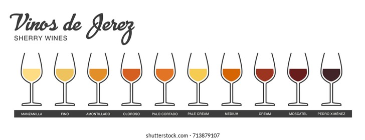 Sherry wine range written in Spanish. Illustrated guide for bars, restaurants, tourist guides, encyclopedias…
