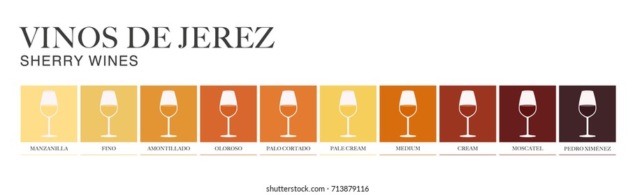 Sherry wine range written in Spanish. Illustrated guide for bars, restaurants, tourist guides, encyclopedias…