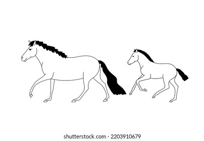 Shetland ponies, mare and foal move forward at a gallop