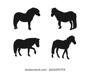 Shetland pony silhouette. Vector illustration of a black silhouette of a Shetland pony isolated on white. vector illustration design on a white background.