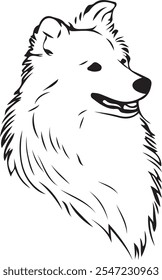 Imagen de Vector negro para perro pastor de las Shetland o perro collie. Fondo blanco aislado transparente. Logo de la silueta del retrato de la cabeza de perro.