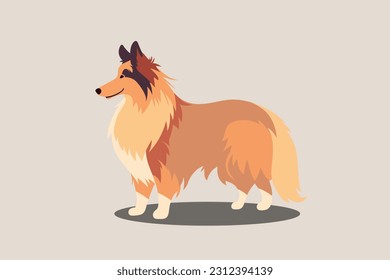 Shetland Sheepdog lindo vector sobre fondo gris