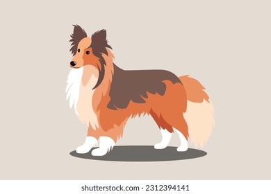 Shetland Sheepdog cute vector on grey background