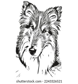 Shetland Sheepdog dog black and white vector logo, line art hand drawn vector pets illustration
