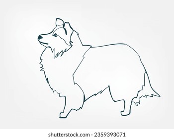 Shetland Sheepdog raza de perro vectores de animales línea de arte de una línea esquema de esbozo