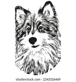 Shetland Sheepdog dog hand drawn line art vector drawing black and white logo pets illustration
