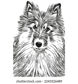 Shetland Sheepdog dog hand drawn illustration, black and white vector pets logo line art
