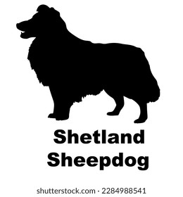 gallinero de los shetland Razas de perro de silueta de perro