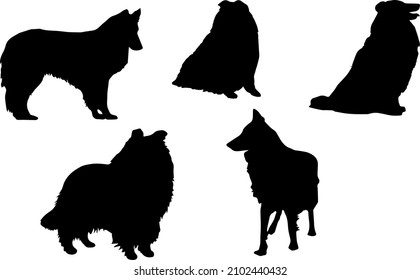 Shetland Sheepdog Dog Silhouette Bundle SVG