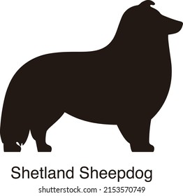 Shetland Sheepdog Dog Silhouette, Side View, Vector Illustration