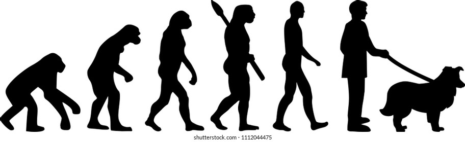 Shetland Sheepdog evolution development with silhouette 