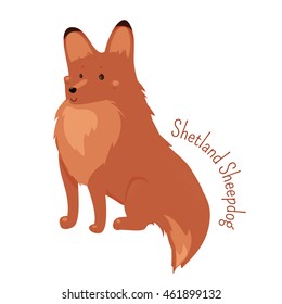 Shetland Sheepdog isolated on white background. Sheltie. Rough Collie. Breed of herding dog. Cartoon puppy species. Child fun pattern icon. Vector illustration.