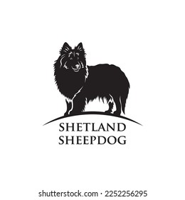 Shetland sheepdog - isolated vector illustration