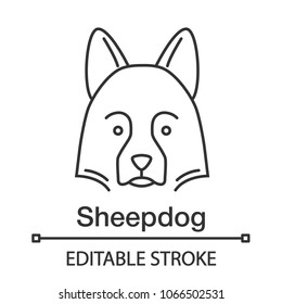 Shetland Sheepdog linear icon. Thin line illustration. Herding dog. Contour symbol. Vector isolated outline drawing. Editable stroke