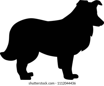 Shetland Sheepdog silhouette real in black