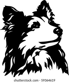Shetland Sheepdog Vector Illustration