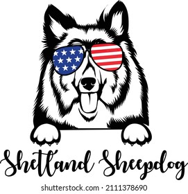 Shetland Sheepdog Vector Imagen De La Bandera De Los Ee.Uu. Esbozo De Silhouette De Perro De Búsqueda 