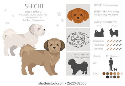 Shi Chi Clipart. Mistura Shih-Tzu Chihuahua. Diferentes cores de casaco definido.  Ilustração vetorial