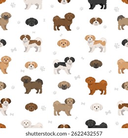 Shi Chi Clipart. Mistura Shih-Tzu Chihuahua. Diferentes cores de casaco definido.  Ilustração vetorial