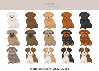Shi Chi Clipart. Mistura Shih-Tzu Chihuahua. Diferentes cores de casaco definido.  Ilustração vetorial