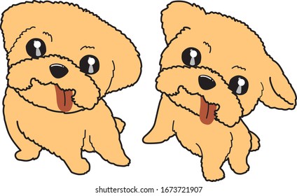 shi zu dog cute style cartoon vector