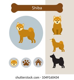 Shiba Dog Breed Infographic, Illustration, Front and Side View, Icon