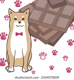 Shiba dog and chocolate for Saint Valentine's Day