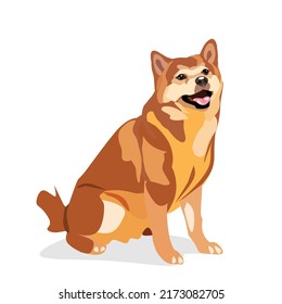 Shiba dog detailed realistic vector illustration cartoon