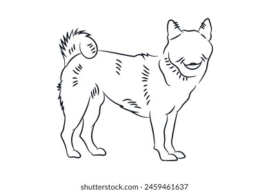 Shiba dog standing pose line drawing hand drawn clip art vector illustration