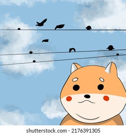 Shiba dog took a selfie on the phone against the background of a wire and a bird