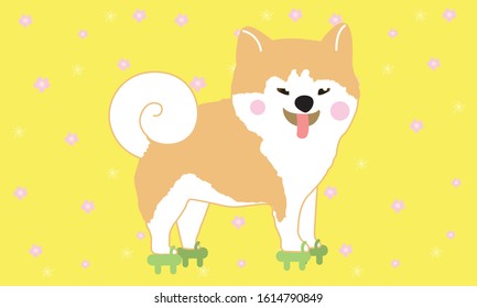 Shiba dogs cute style cartoon vector