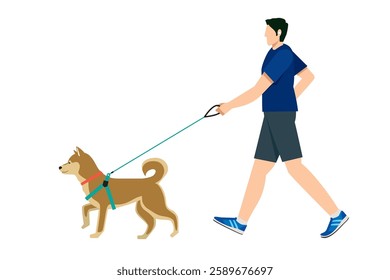 Shiba Inu, Akita Inu, Dog Walking, Simple Illustration of a Japanese Man Walking Flat Design