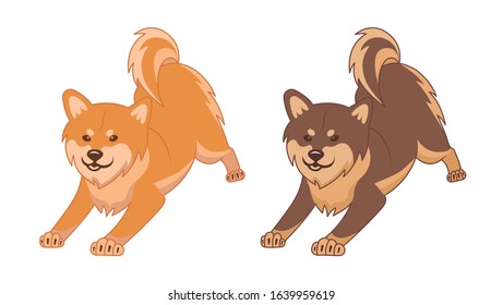 Shiba inu and Akita inu dogs.