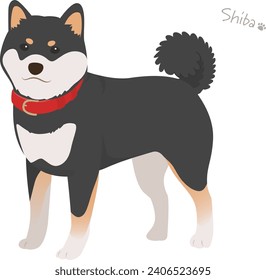 Shiba Inu schwarze Haare, Vektorgrafik