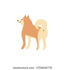 Shiba inu breed dog backs to the viewer. Flat cartoon vector illustration isolated on white background. Cute attractive puppy pet domestic animal character full length.