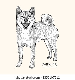 Shiba Inu Stock Vectors, Images & Vector Art | Shutterstock